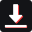 Snaptik icon