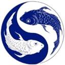 BotEra icon